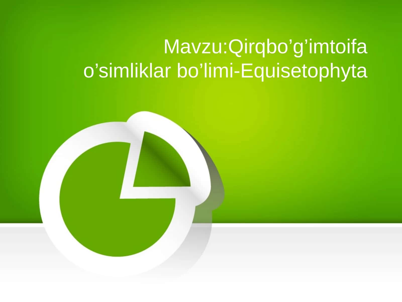 Qirqbo’g’imtoifa o’simliklar bo’limi-Equisetophyta 1