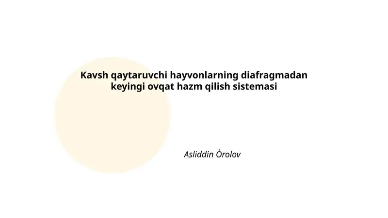 Kavsh qaytaruvchi hayvonlarning diafragmadan keyingi ovqat hazm qilish sistemasi 1