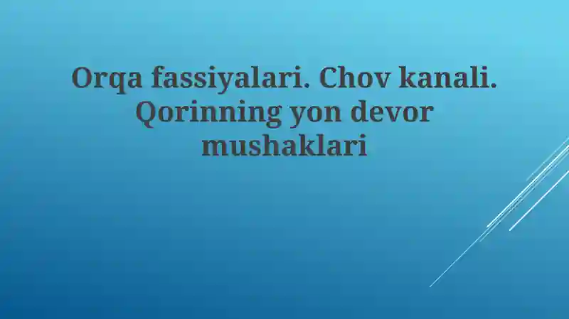 Femoral fastsiyasi, chov kanali va qorinning lateral devori: Anatomik tuzilish va funktsiyalari