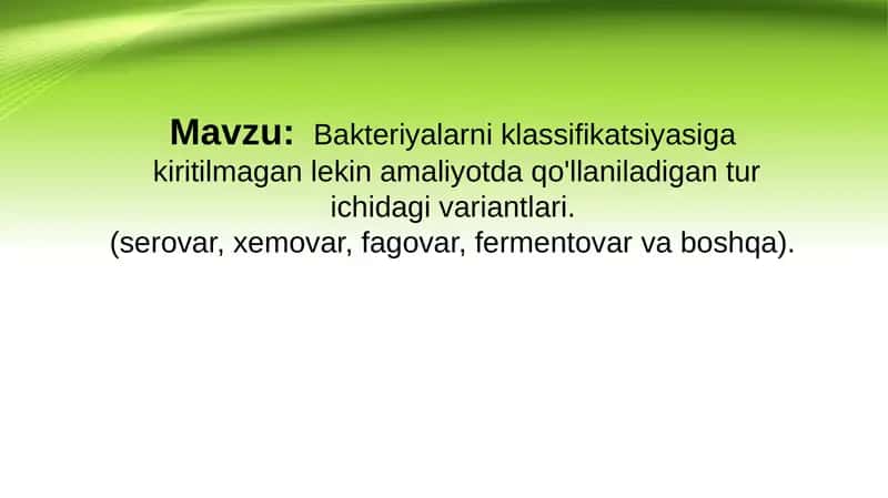 Bakteriyalarni klassifikatsiyasiga 
kiritilmagan lekin amaliyotda qo‘llaniladigan tur ichidagi vari 1