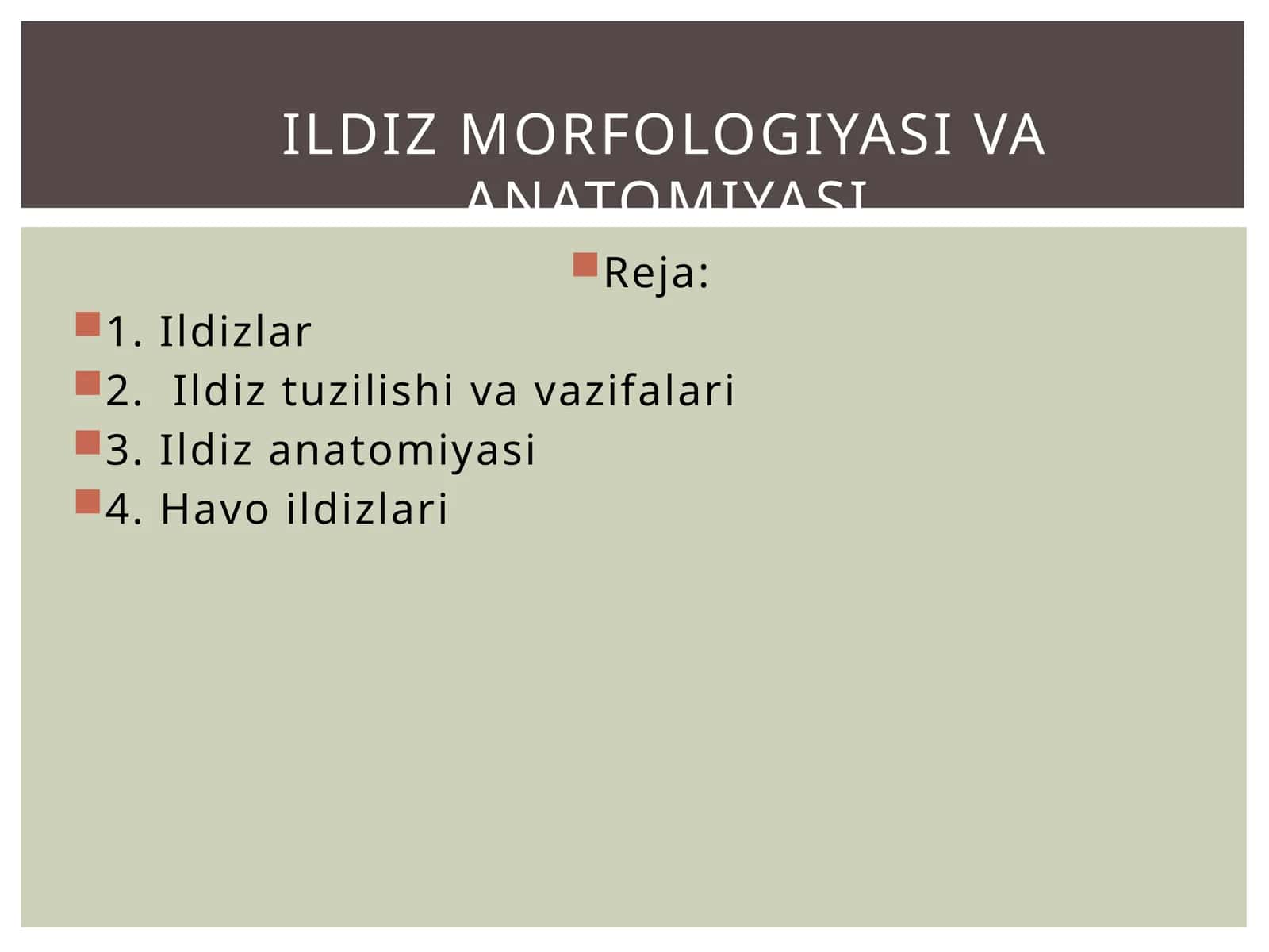 Ildizlar 1
