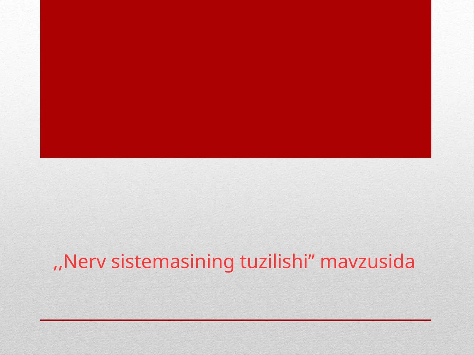 Nerv sistemasi tuzilishi to’g’risida umumiy ma’lumot 1