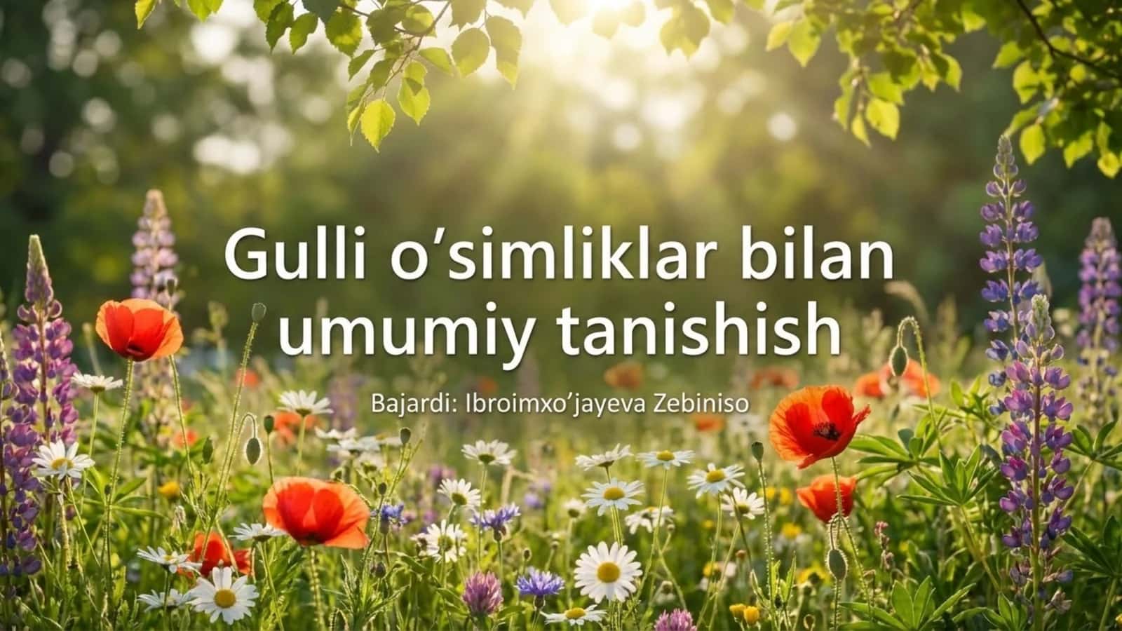 Gulli o'simliklar bilan umumiy tanishish 1