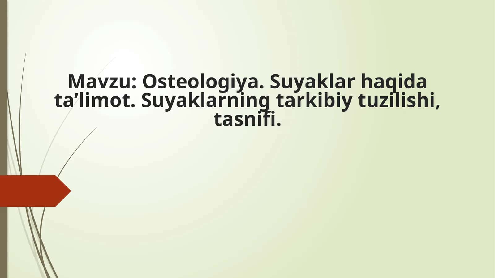 Osteologiya. Suyaklar haqida ta’limot. Suyaklarning tarkibiy tuzilishi, tasnifi 1