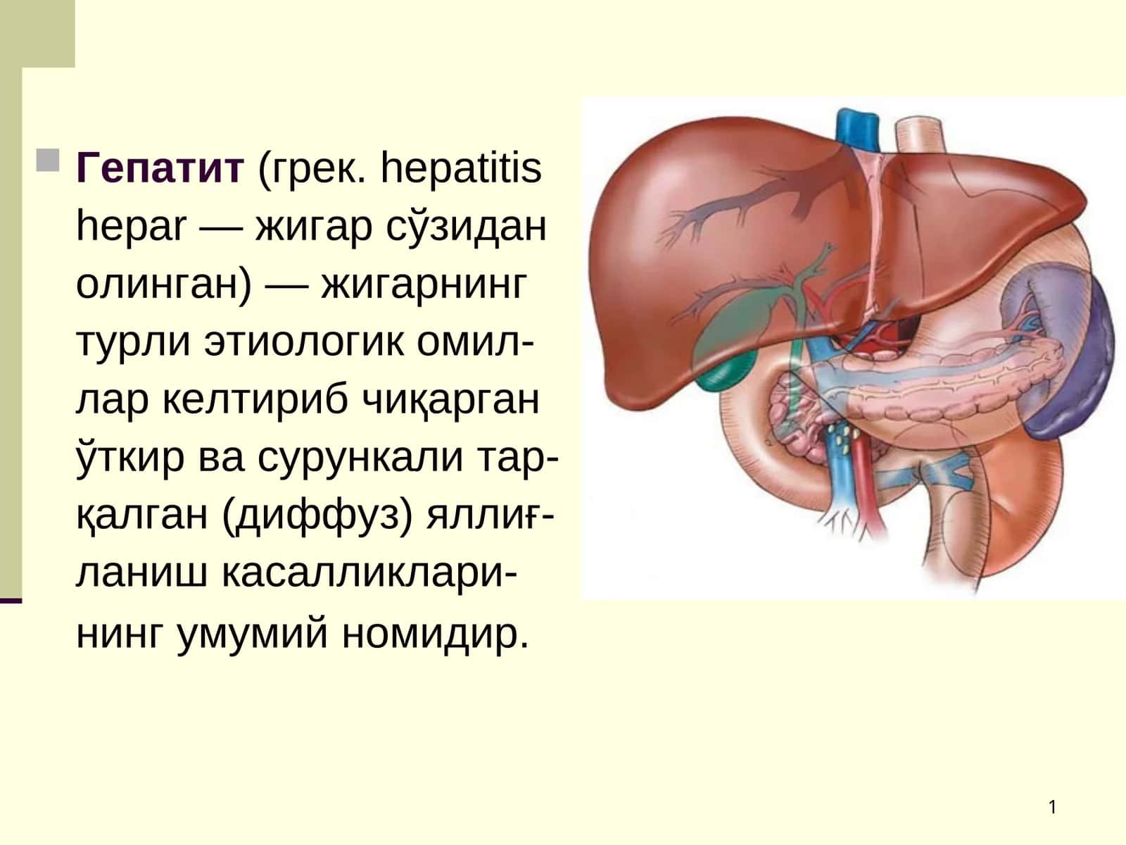 Вирусли гепатитлар 1