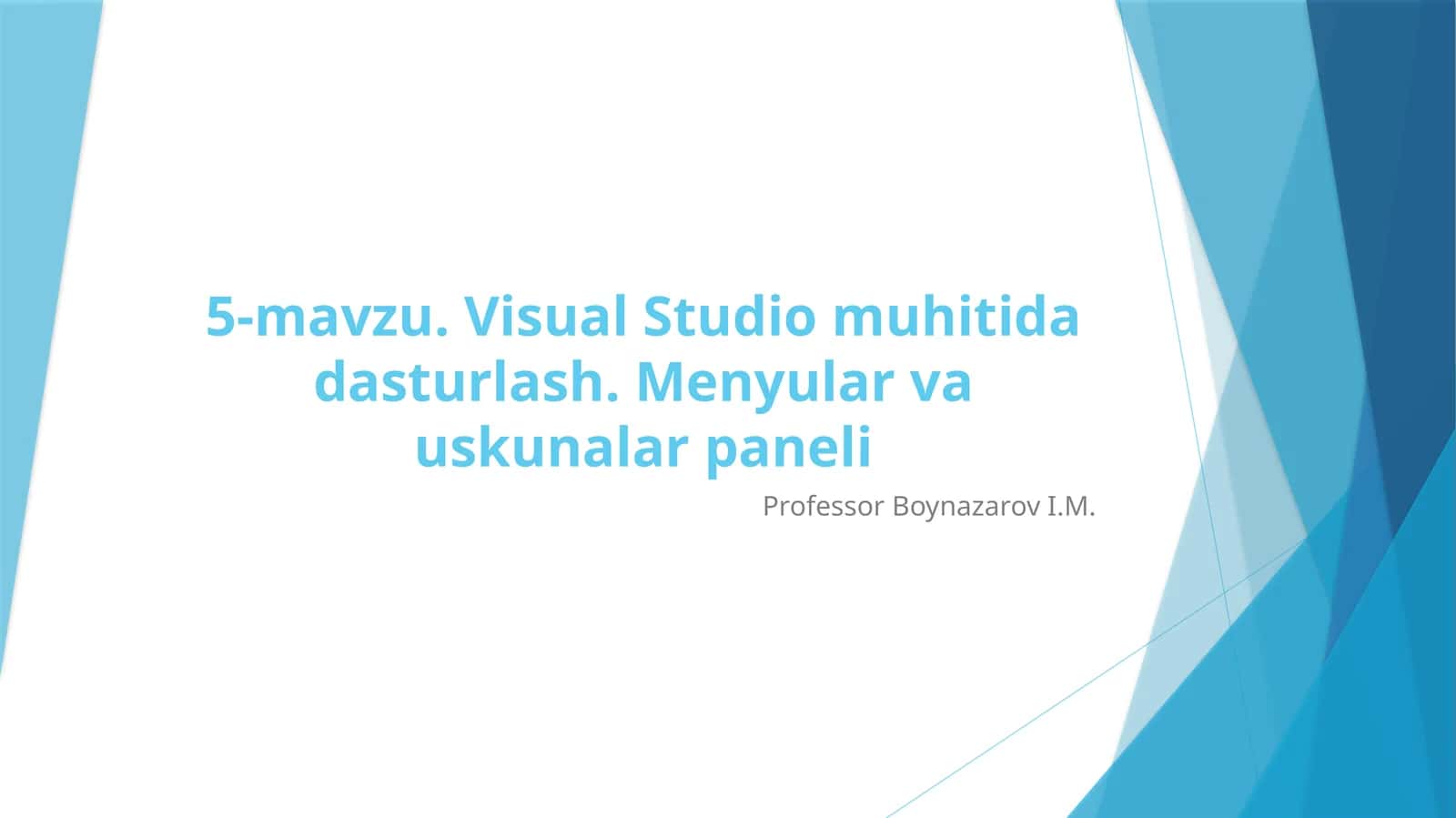 Visual Studio 1