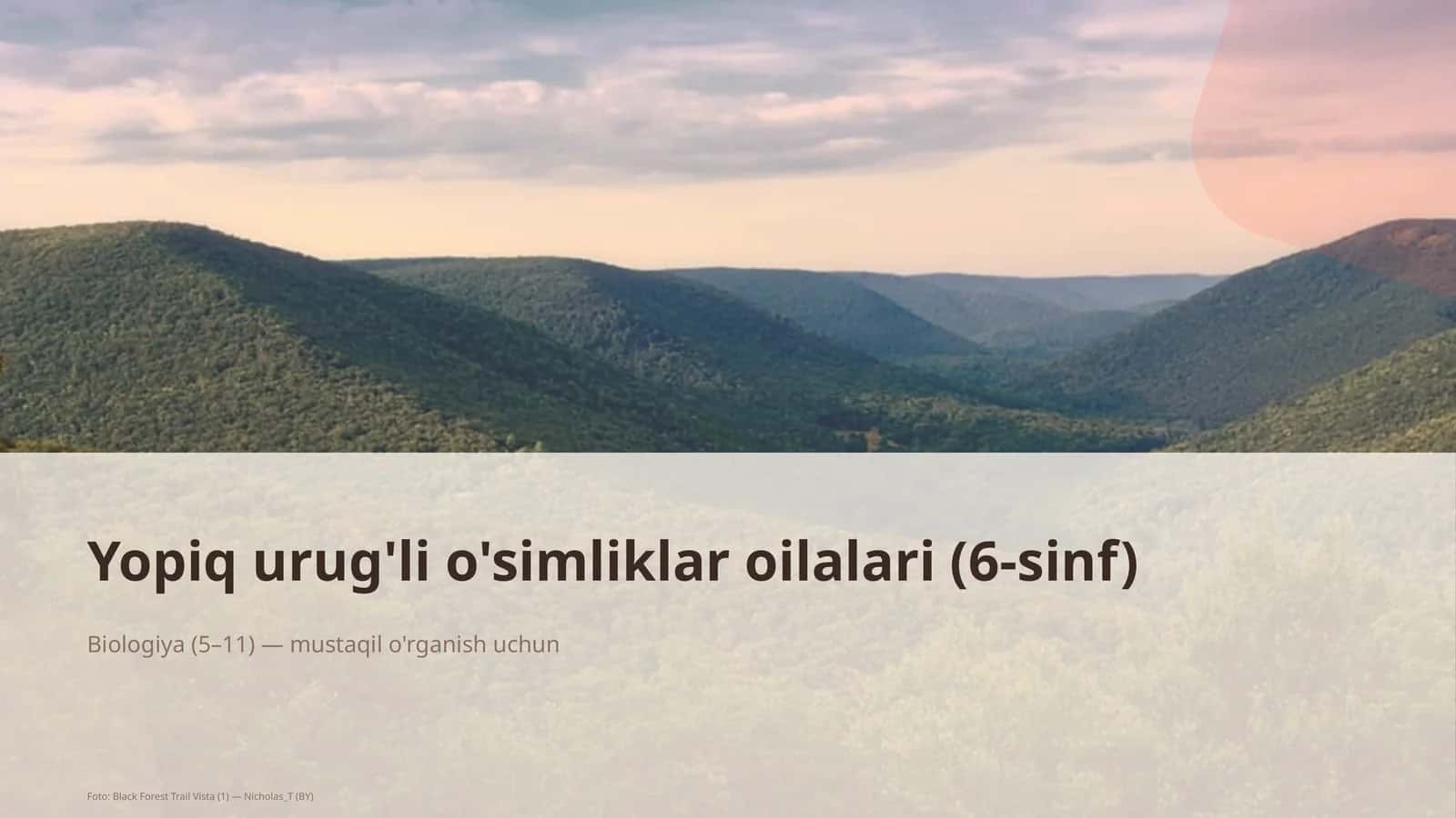 Yopiq urug'li o'simliklar oilalari (6-sinf) 1