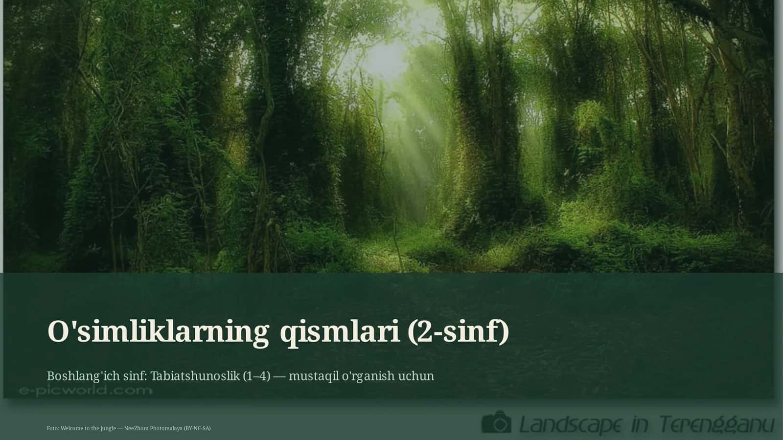 O'simliklarning qismlari (2-sinf) 1
