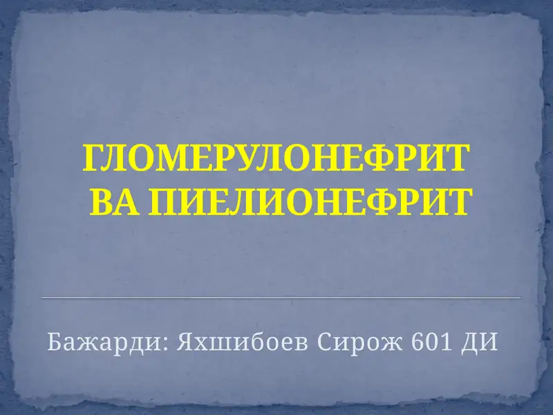 ГЛОМЕРУЛОНЕФРИТВАПИЕЛИОНЕФРИТ 1