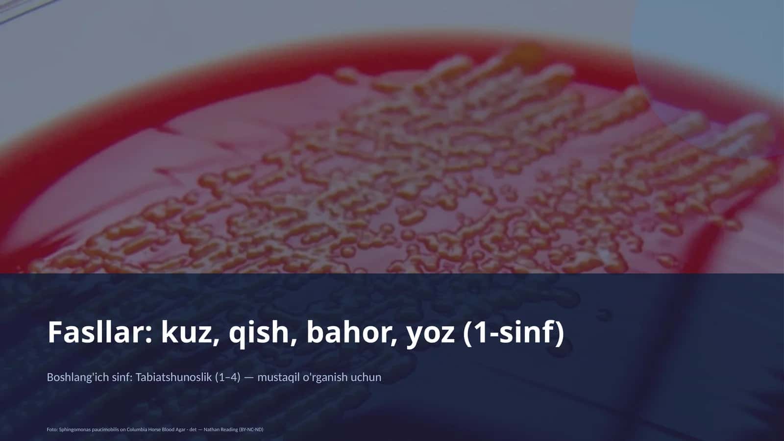 Tabiatshunoslik (1–4) 1