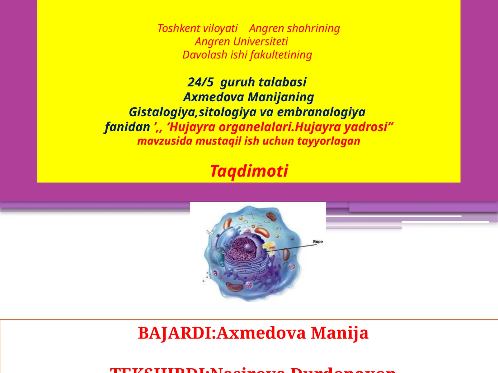 Hujayra Organellalari 1
