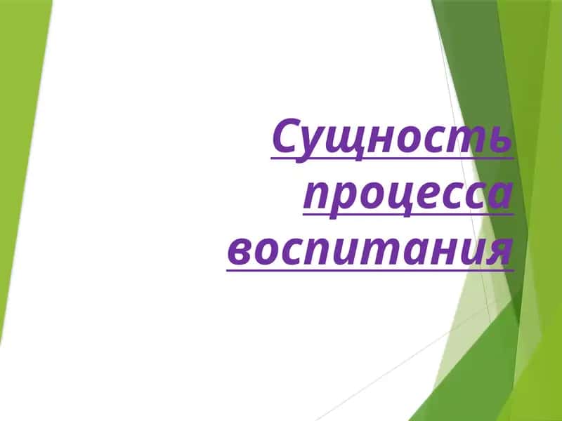 Сущность процесса воспитания 1