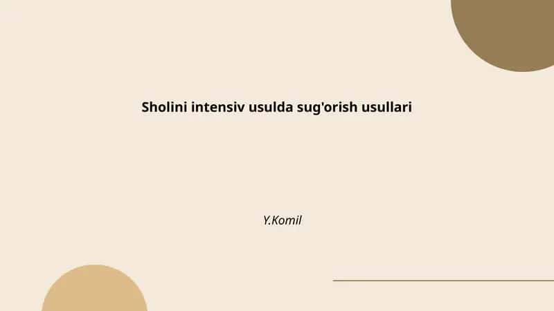 Sholini intensiv usulda sug'orish tarixi 1