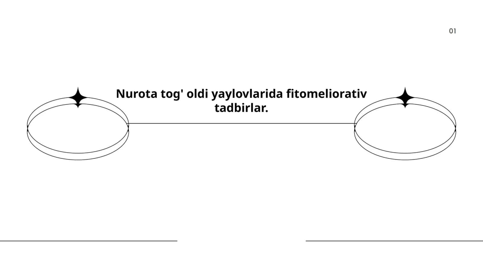 Nurota tog' oldi yaylovlarida fitomeliorativ tadbirlar 1
