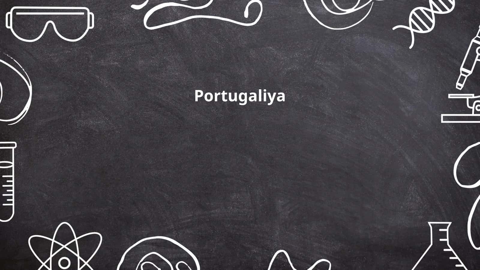 Portugaliya 1