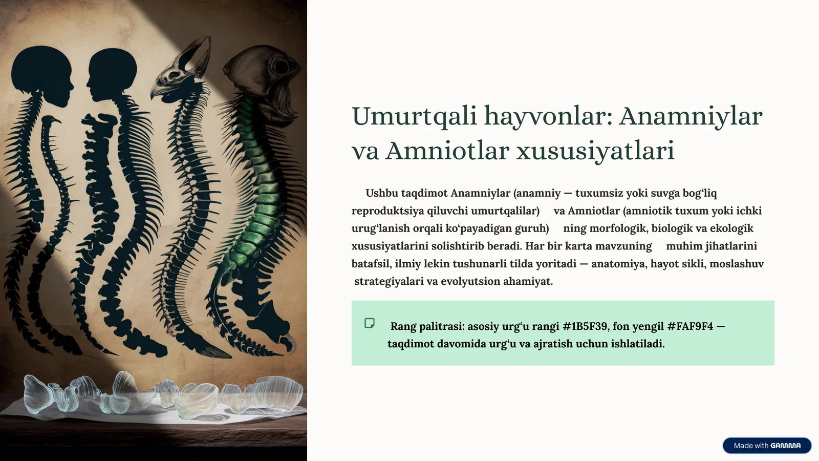 Umurtqali hayvonlar: Anamniylar va Amniotlar xususiyatlari 1