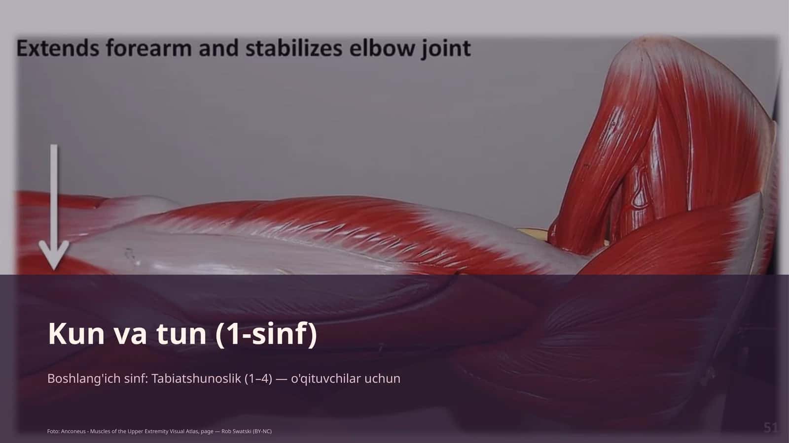 Kun va tun (1-sinf) 1