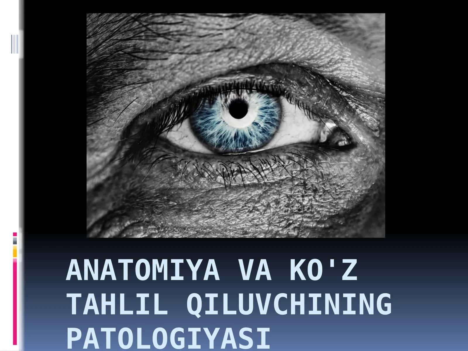 Ko'rish analizatori anatomiyasi va patologiyasi 1