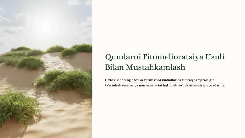 Qumlarni Fitomelioratsiya Usuli Bilan Mustahkamlash 1