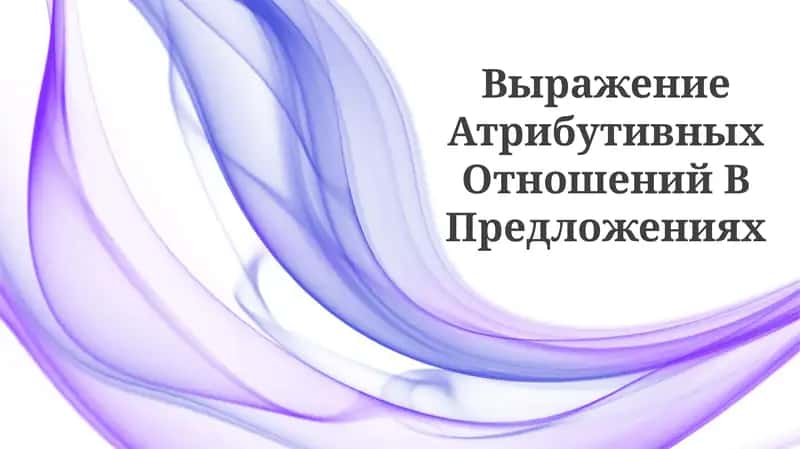 Выражение Атрибутивных Отношений В Предложениях 1