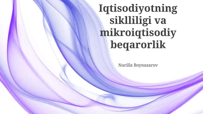 Iqtisodiyotning siklliligi va mikroiqtisodiy beqarorlik 1