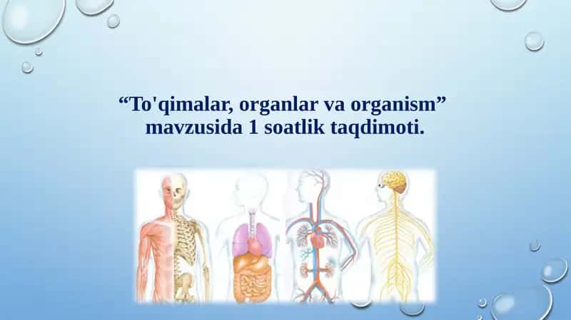 To'qimalar, organlar va organism 1