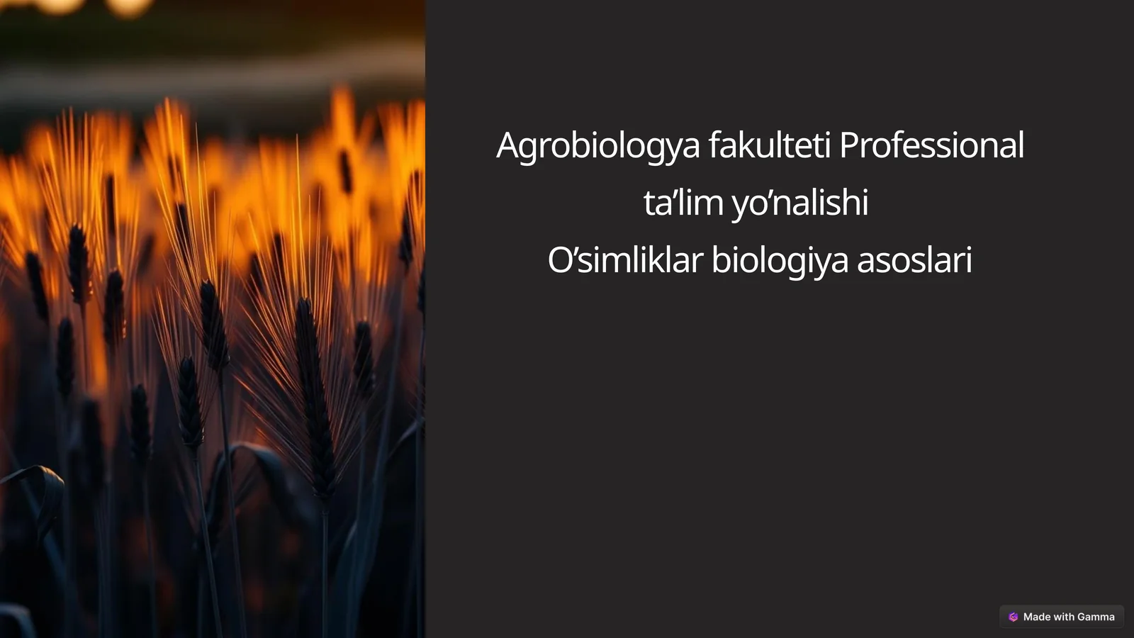 Hosilni  rejalashtirishda  ekish  me’yorining  o‘rni 1