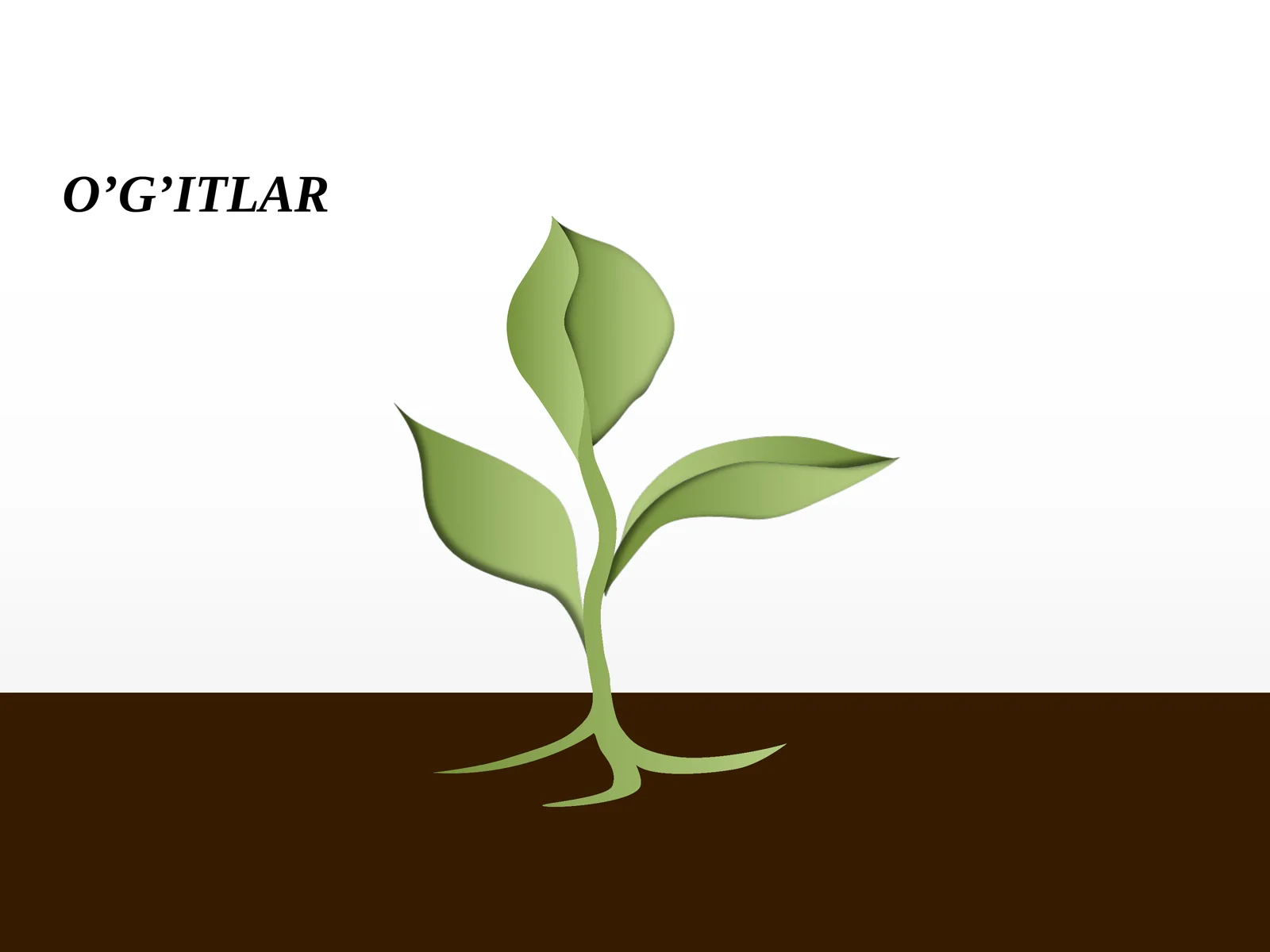 O’G’ITLAR 1