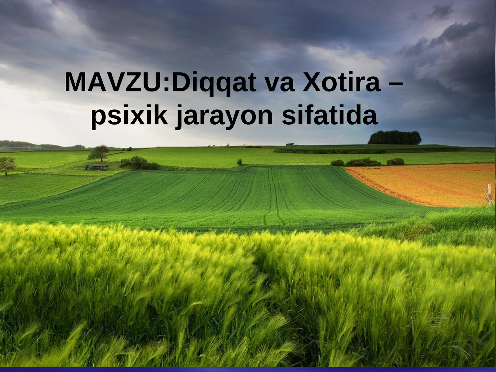 Diqqat va Xotira – psixik jarayon sifatida 1