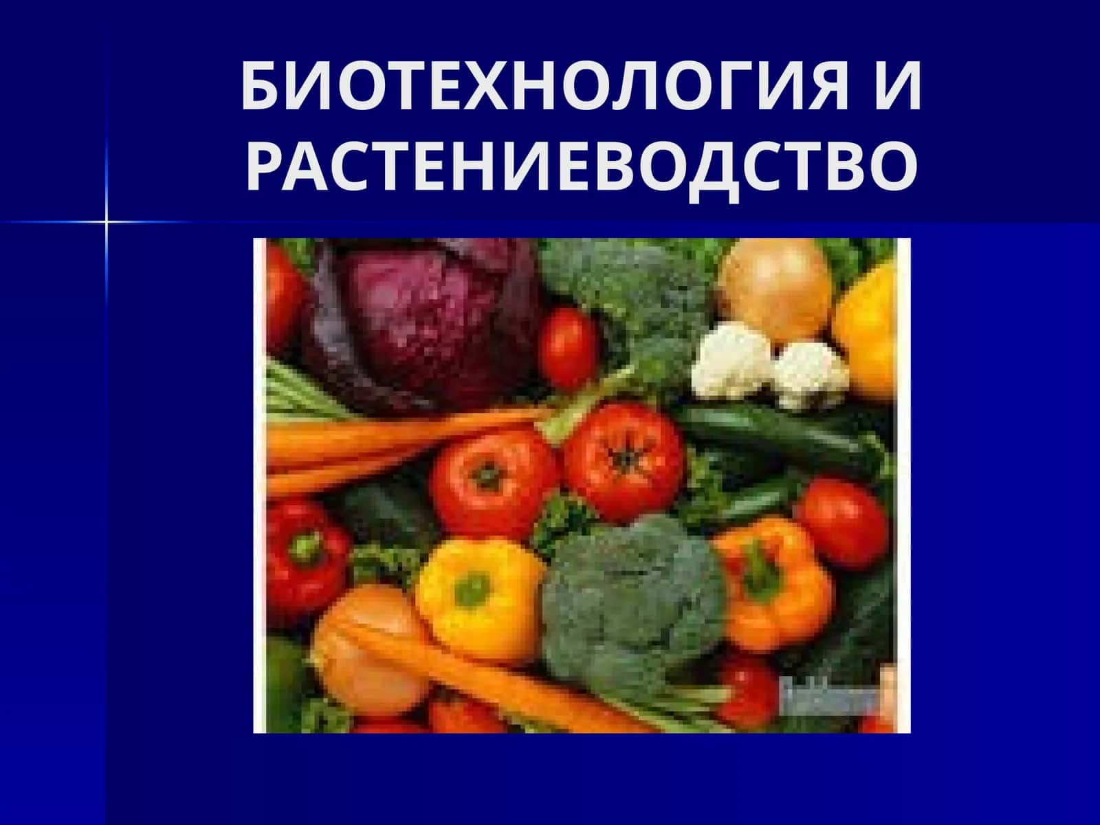БИОТЕХНОЛОГИЯ И РАСТЕНИЕВОДСТВО 1