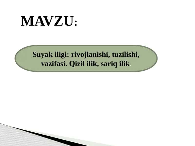 Suyak iligi rivojlanishi, tuzilishi, vazifasi. Qizil ilik, sariq ilik. 1