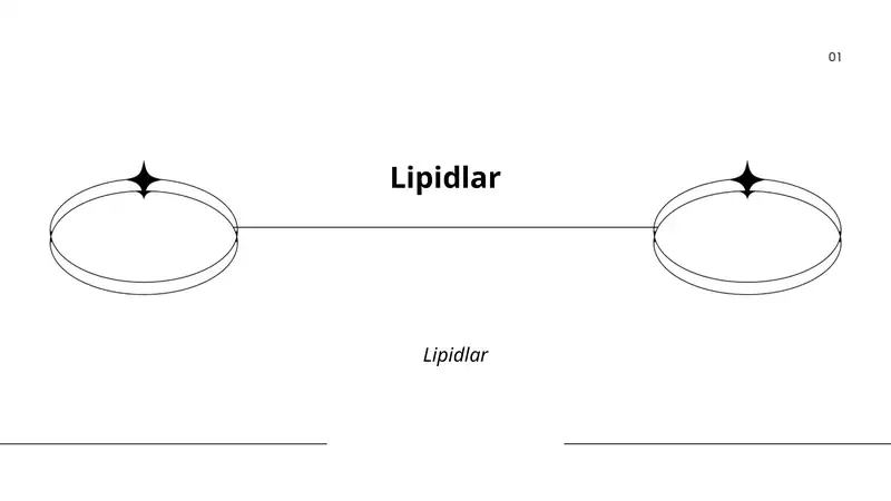 Lipidlar 1