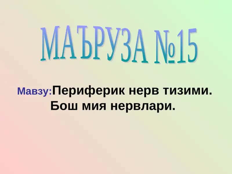 МАЪРУЗА №15 1