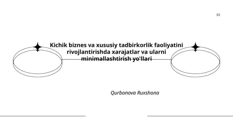 Kichik biznes va xususiy tadbirkorlik faoliyatini rivojlantirishda xarajatlar va ularni minimallashtirish yo'llari 1