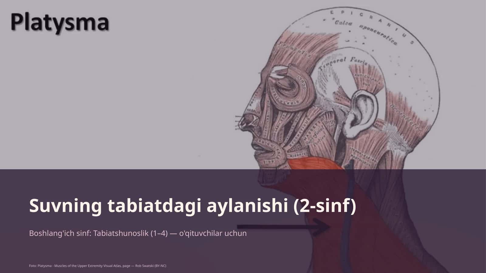 Suvning tabiatdagi aylanishi (2-sinf) 1