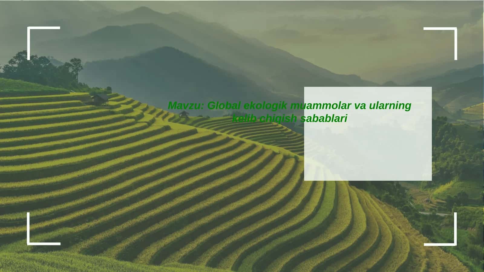 Globalekologikmuammolarvaularningkelibchiqishsabablari 1