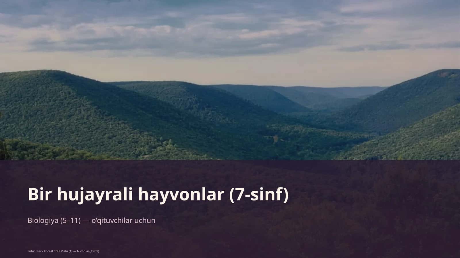 Bir hujayrali hayvonlar (7-sinf) 1