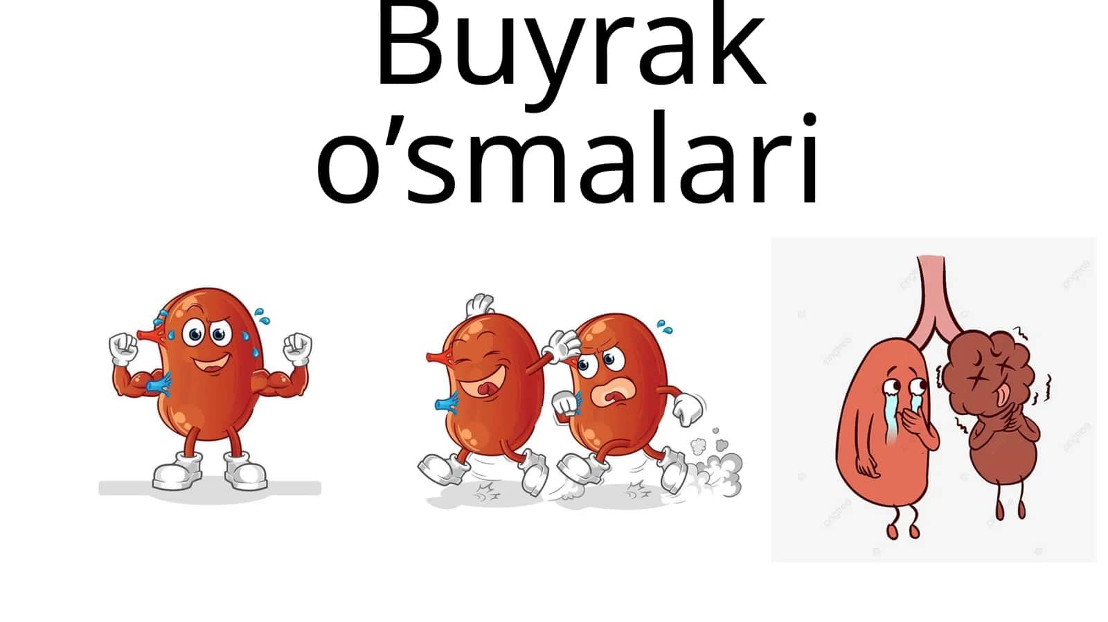 Buyrak o’smalari 1