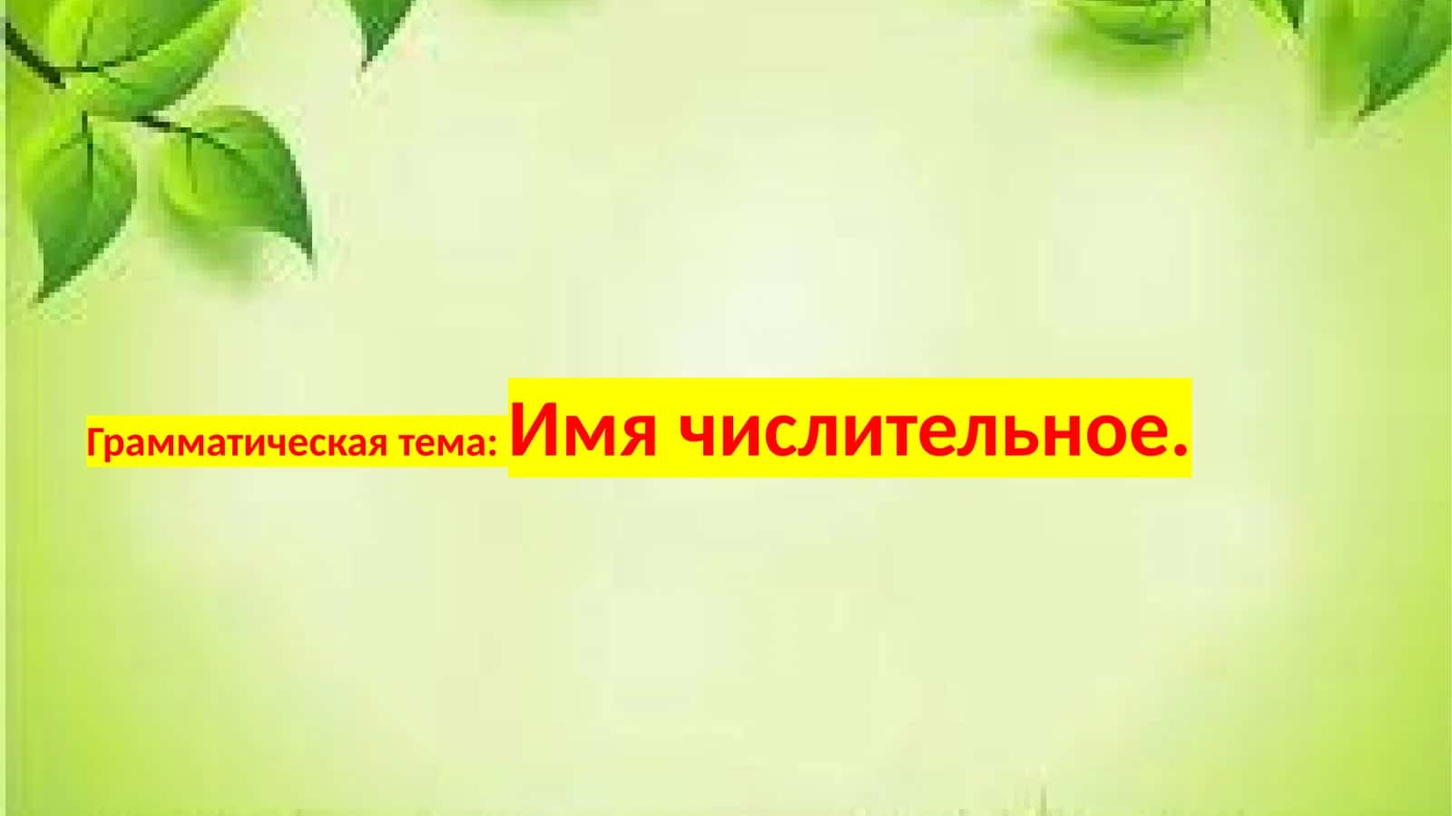Имя числительное 1