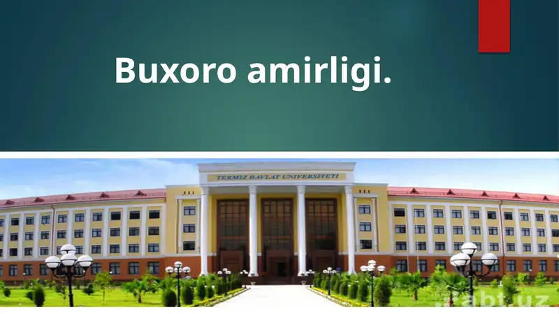Buxoro amirligi 1
