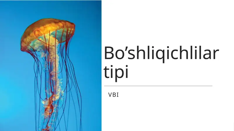 Bo’shliqichlilar tipi 1