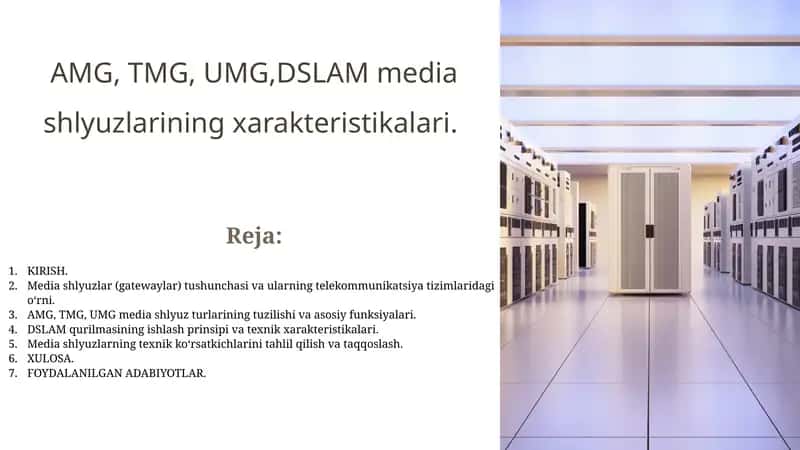 AMG, TMG, UMG,DSLAM media shlyuzlarining xarakteristikalari 1