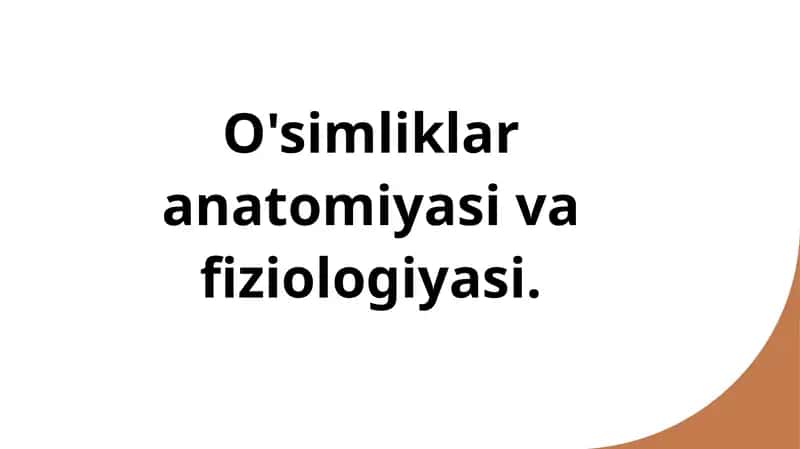 O'simliklar anatomiyasi va fiziologiyasi. 1