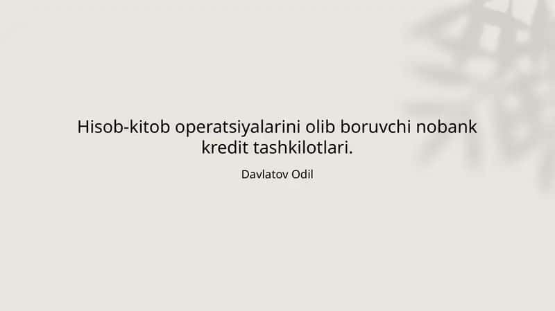 Nobank kredit tashkilotlari hisob-kitob operatsiyalarini osonlashtiradi 1