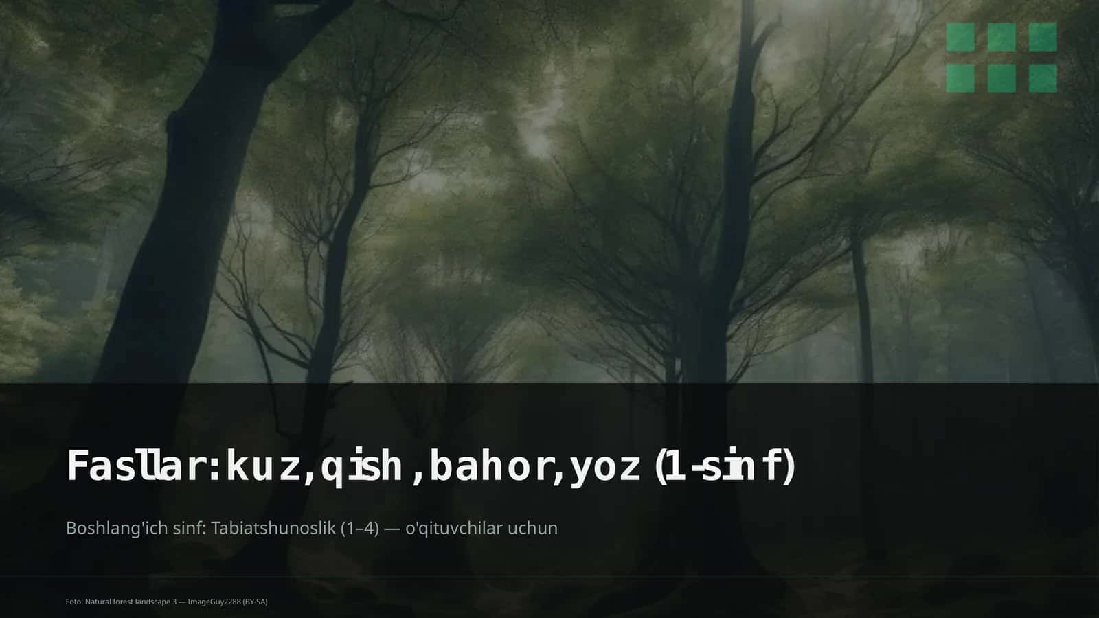 Tabiatshunoslik Dars Rejasi 4