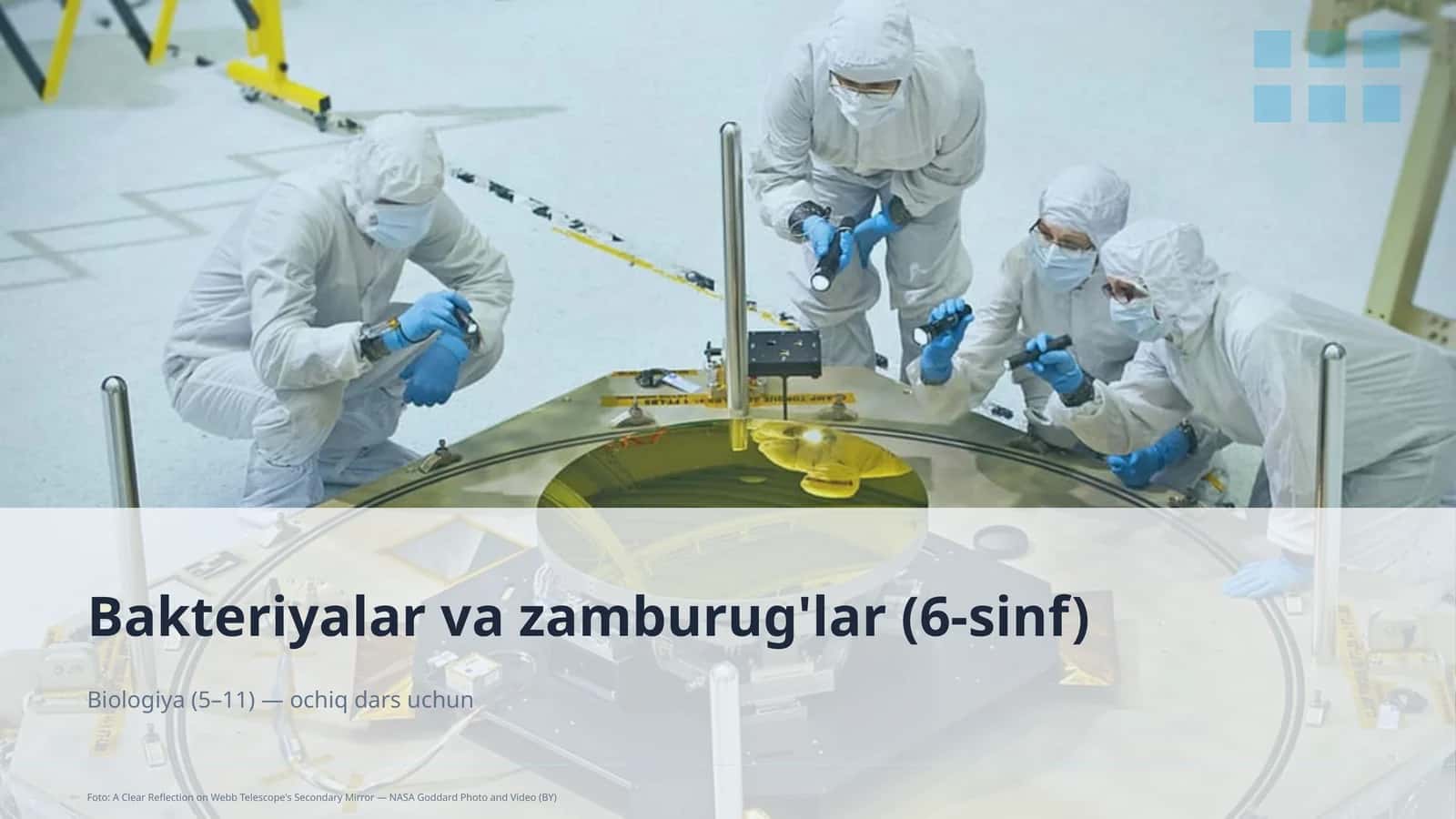 Bakteriyalar va zamburug'lar (6-sinf) 1