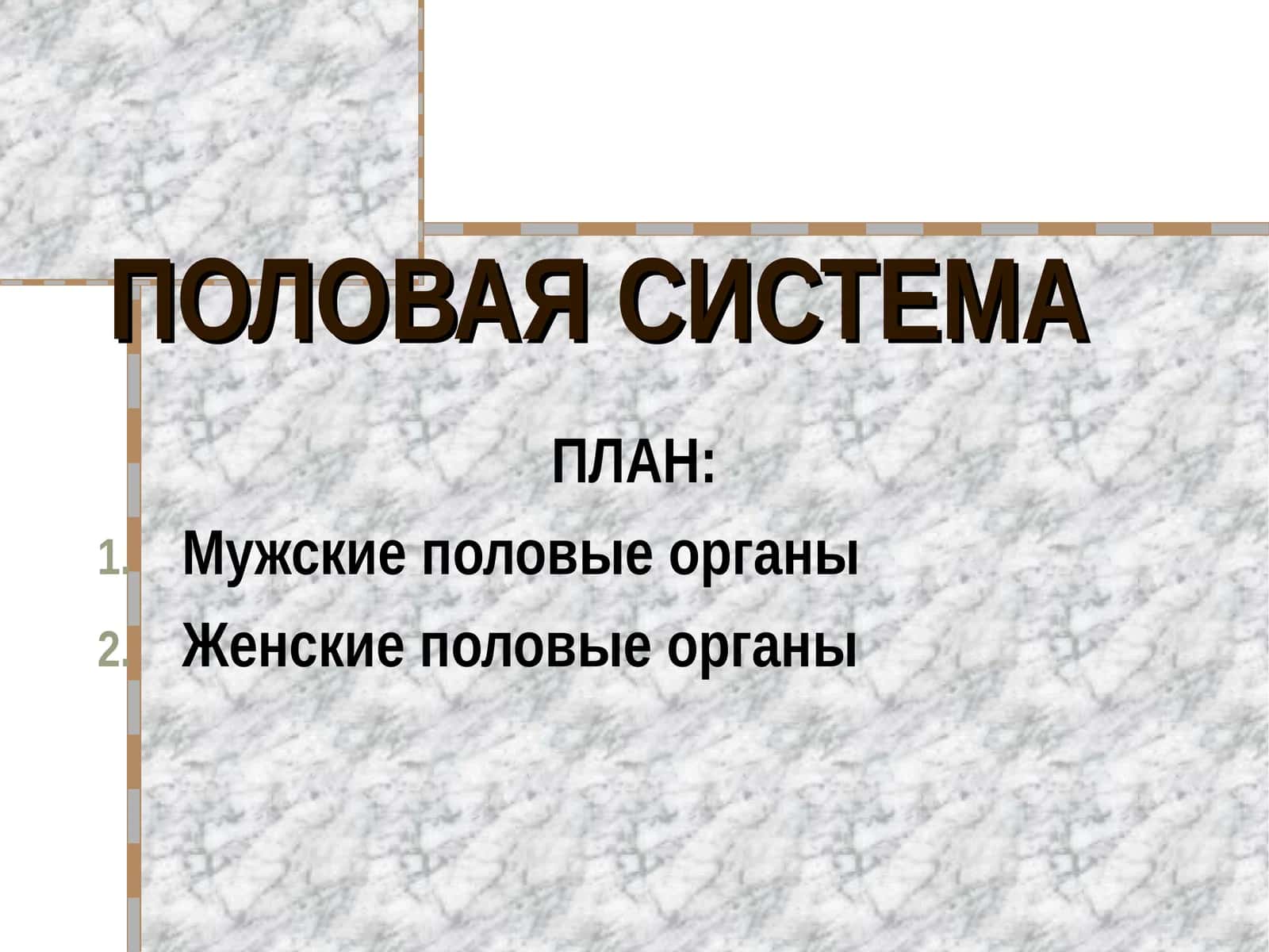 ПОЛОВАЯ СИСТЕМА 1