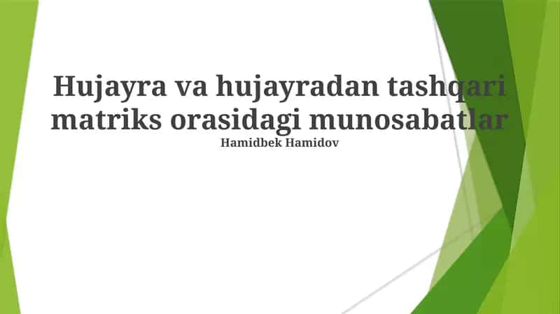 Hujayra va hujayradan tashqari matriks orasidagi munosabatlar 1