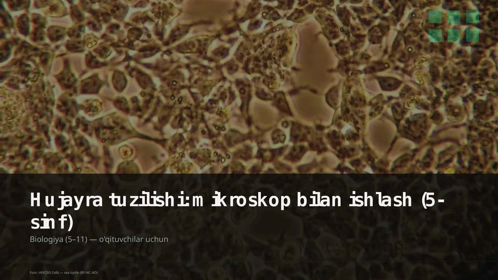 Mikroskop bilan ishlash 1