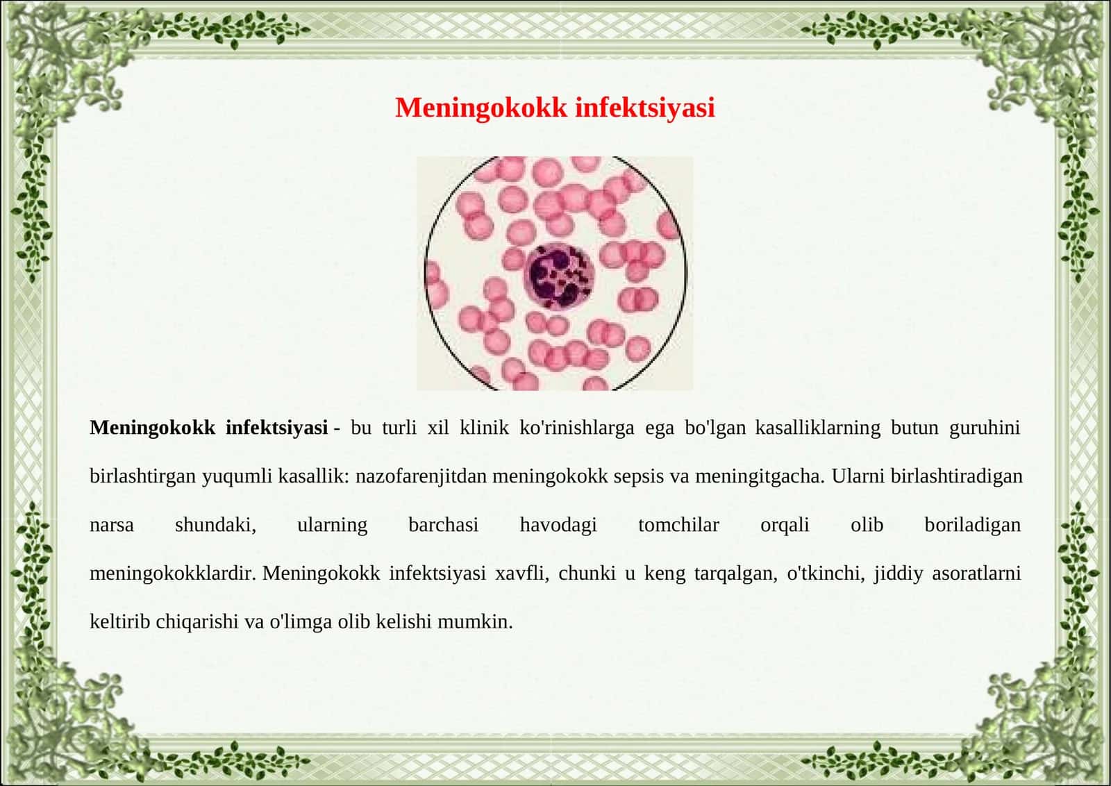 Meningokokk 1
